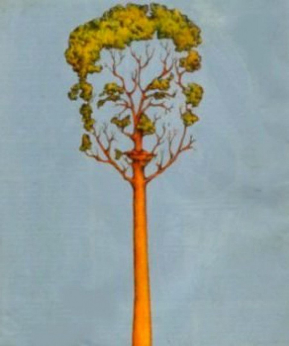 Colour illustration about the environment. ©️ 1988 Waldemar A.S. Buczynski onwards.